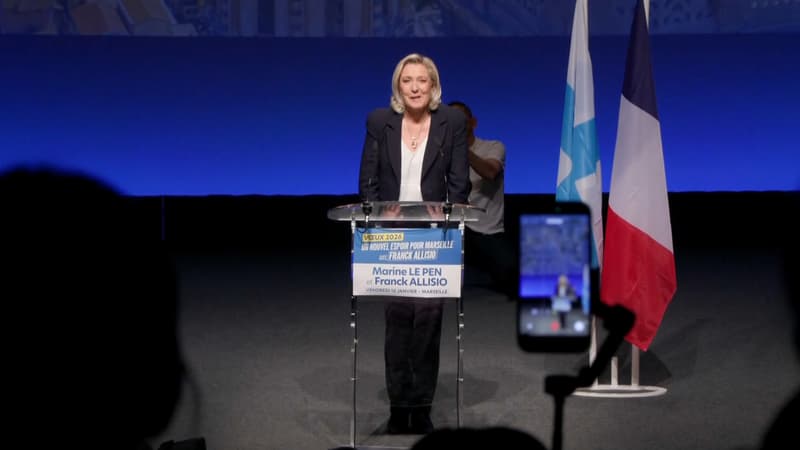"Une Femen? Une boule puante?": le discours de Marine Le Pen perturbé au meeting de Franck Allisio à Marseille