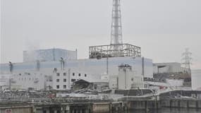 Le gouvernement japonais a invité lundi l'opérateur de la centrale nucléaire de Fukushima-Daiichi, endommagée par le séisme et tsunami du 11 mars, à colmater au plus vite la fuite radioactive découverte récemment. /Photo prise le 31 mars 2011/REUTERS/HO
