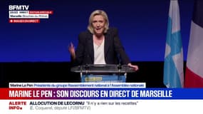 "Je n'arrive pas à voir, c'est quoi une femen, une boule puante": au début du discours de Marine Le Pen (RN), une femen a perturbé la prise de parole de la présidente du groupe RN à l'Assemblée nationale 