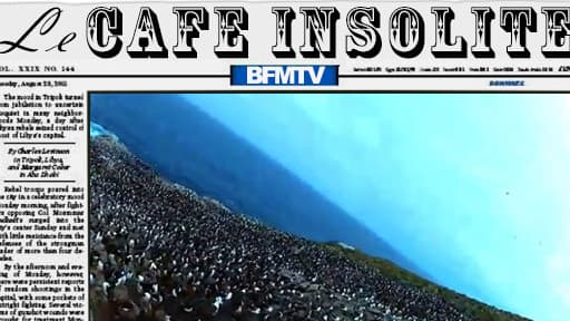 Les images filmées par un aigle, transportant une caméra planquée dans un oeuf. C'est sur la BBC.