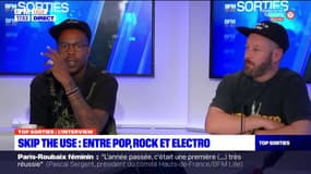 Lille: Skip the Use sort un nouvel album, "sorte de journal intime des deux dernières années"