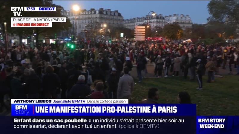 Plusieurs milliers de personnes réunies en soutien au peuple palestinien à Paris