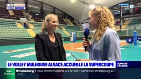 Volley: Mulhouse affronte le Cannet ce mercredi soir en finale de la Supercoupe