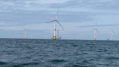 Le parc éolien en mer au large de Fécamp (photo d'illustration). 
