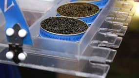 Des boîtes de caviar, le 17 juillet 2015 à New York. (Photo d'illustration)