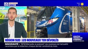 Provence-Alpes-Côte d'Azur: les nouveaux TER dévoilés pour un service amélioré