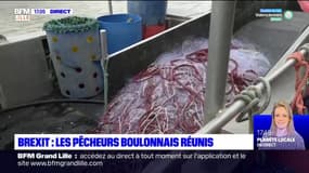 Crise de la pêche: les pêcheurs de Boulogne-sur-Mer organisent un point presse ce lundi