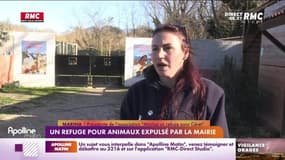RMC s’engage pour vous : Un refuge pour animaux expulsé par la mairie - 18/08