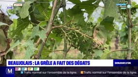 Rhône: les orages ont fait des dégâts dans le Beaujolais