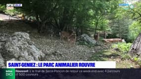 Alpes-de-Haute-Provence : le parc animalier a rouvert ses portes à Saint-Geniez