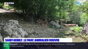 Alpes-de-Haute-Provence : le parc animalier a rouvert ses portes à Saint-Geniez