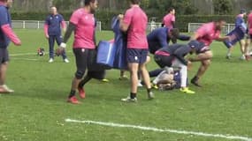 Top 14 - Le Stade Français doit renouer avec la victoire