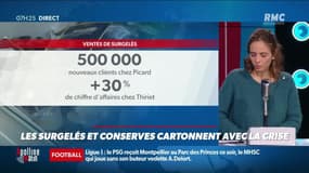 Dupin Quotidien : Les surgelés et conserves cartonnent avec la crise - 22/01