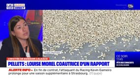 Alsace: Louise Morel appelle à la saisie de l'Autorité de la concurrence face à la flambée du prix des pellets