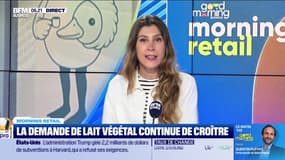 Morning Retail : La demande de lait végétal continue de croître, par Eva Jacquot - 15/05
