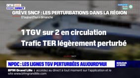 Nord et Pas-de-Calais: les trains affectés par une grève à la SNCF