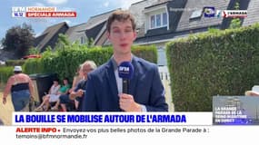 Armada de Rouen: à La Bouille, les visiteurs saluent une édition "spectaculaire"