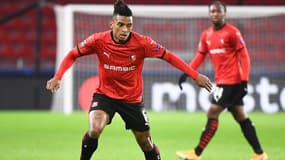 Dalbert