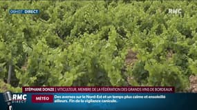 Taxe de produits européens aux Etats-Unis: coup dur pour les viticulteurs français