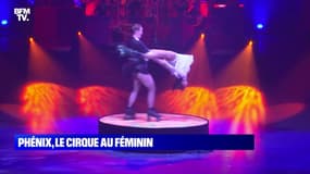 Phénix, le cirque au féminin - 04/12