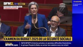 Budget 2025: "Votez cet amendement pour que les femmes ne soient pas les grandes absentes de ce PLFSS", affirme Sandrine Rousseau (EELV)