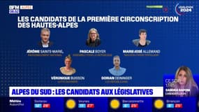 Législatives: le point sur les candidats dans les Alpes du Sud