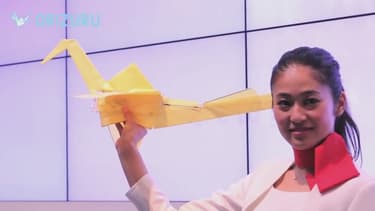 Le Lazurite Fly vole comme un véritable oiseau - Capture d'image YouTube