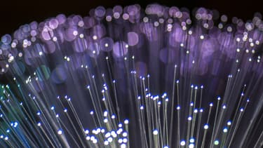 Des câbles en fibre optique.