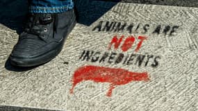 Un slogan vegan peint sur un passage piéton à Lille, en août 2018.
