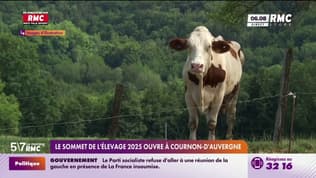 Le sommet de l'élevage 2025 ouvre à Cournon-d'Auvergne, sans vaches. 