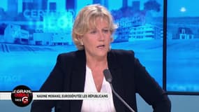 Trump sur les Champs Elysées : "Je trouve ça bien !"