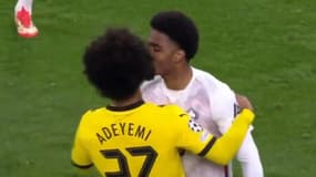 Le bisou d'Alexsandro sur Karim Adeyemi lors de Dortmund-Lille (1-1, Ligue des champions), le 4 mars 2025