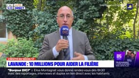 Le sénateur des Alpes-de-Haute-Provence Jean-Yves Roux justifie l'aide de 10 millions d'euros pour la filière de la lavande