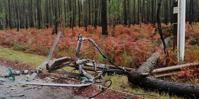 Après le passage de la tempête Ciaran, les dégâts sont considérables 