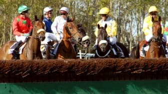 Les pronos hippiques du jeudi 2 janvier 2024