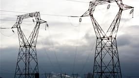 Selon le quotidien Les Echos, le gouvernement a donné son aval à un amendement ouvrant la voie à une nouvelle hausse du prix de l'électricité. /Photo d'archives/REUTERS/Vincent Kessler