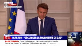 Emmanuel Macron: "En quelques mois, nous sommes passés de 50% de gaz russe à 9% dans notre mix" énergétique