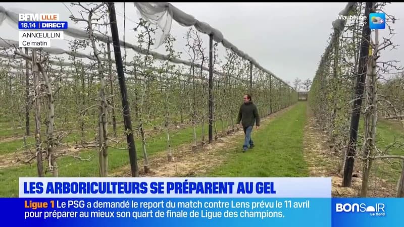Le froid de retour, les arboriculteurs se préparent au gel
