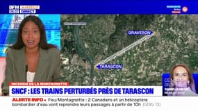 Incendie de la Montagnette: des perturbations de trains près de Tarascon