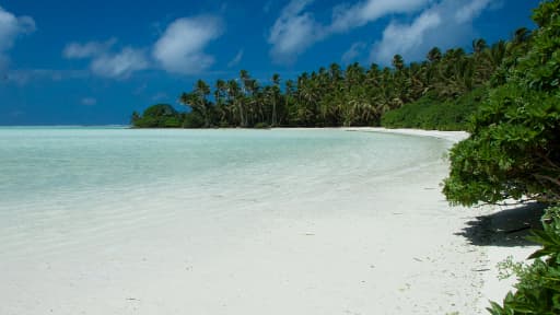 L'atoll de Palmyra, dans le Pacifique Nord.