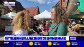 Bas-Rhin: la 9e édition du marché d'été Sommermarik débute à Mittelbergheim