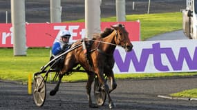 Ampia Mede Sm remet son titre en jeu. 