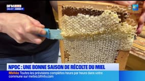 Nord-Pas-de-Calais: une belle saison pour la récolte du miel