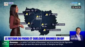 Météo Paris Ile-de-France: le retour du froid pour ce vendredi