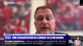Louis Aliot, maire RN de Perpignan: "Quand il y aura une majorité contraire à la sienne, (le président de la République) devra tenir compte de la volonté des urnes"