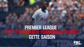 Premier League : Ces nouveaux Français à suivre cette saison 
