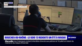 Bouches-du-Rhône: les sapeurs-pompiers redoutent un été à haut risque
