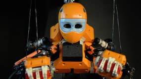 BathyBot est un robot capable d'explorer l'océan à 2400 mètres de profondeur. Il a été conçu par le centre Ifremer et le CNRS (image d'illustration)