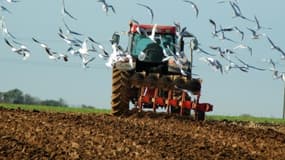 Un agriculteur tué à coups de marteau dans sa ferme à Allery (image d'illustration).