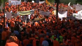 Ce samedi, plusieurs milliers de chasseurs se sont rassemblés à Forcalquier (Alpes-de-Haute-Provence) pour protester contre les décisions du Conseil d'Etat d'interdire certaines techniques de chasse.